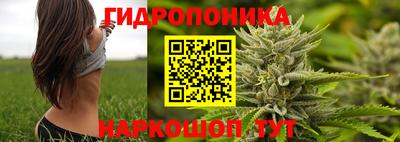 PSILOCYBIN Анжеро-Судженск