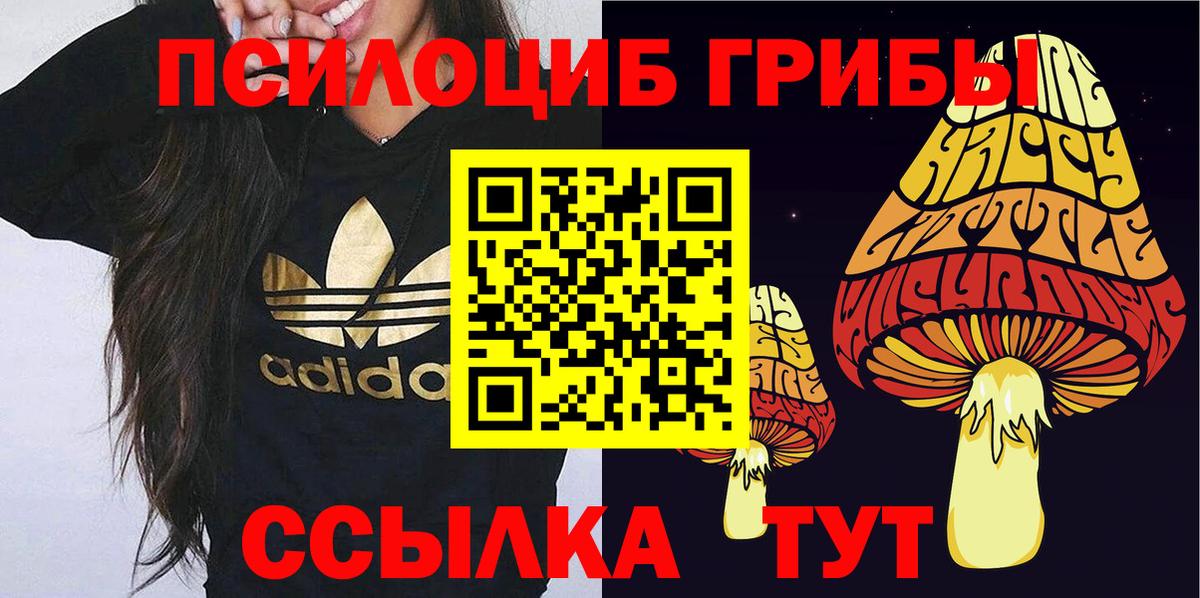 Псилоцибиновые грибы ЛСД  Вход с VPN  Бийск  Галлюциногенные грибы мицелий 