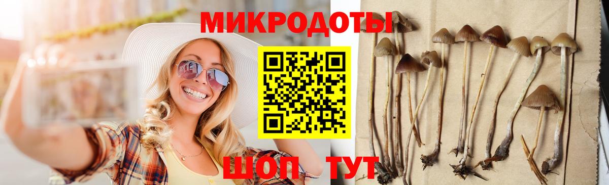 Псилоцибиновые грибы мухоморы Бийск